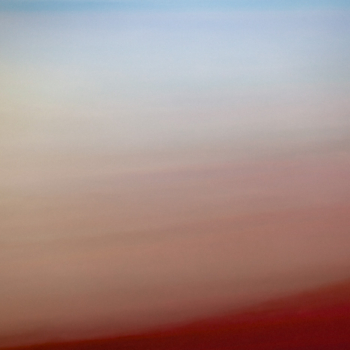 Tulips at Sunset 12″ x 18″ Archival Print Art