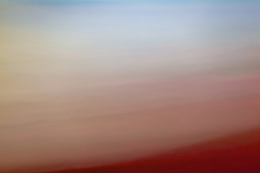 Tulips at Sunset 12″ x 18″ Archival Print Art